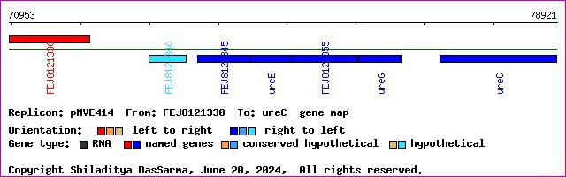 gene map