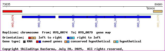 gene map