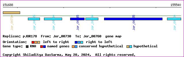 gene map