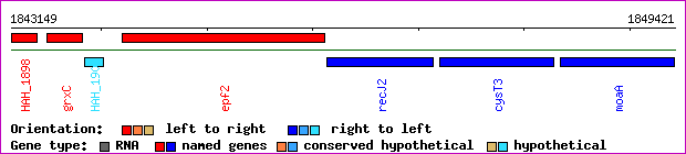 gene map