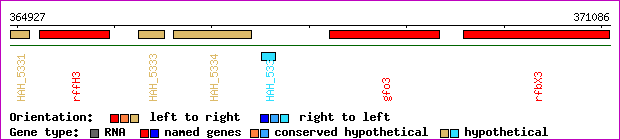 gene map