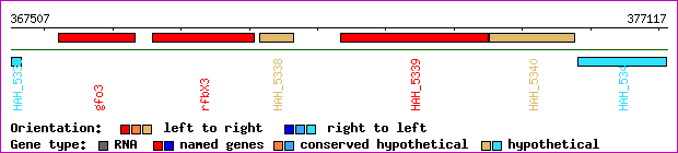 gene map