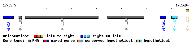 gene map
