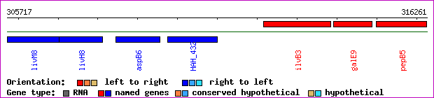 gene map