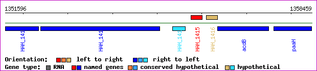 gene map