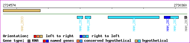 gene map