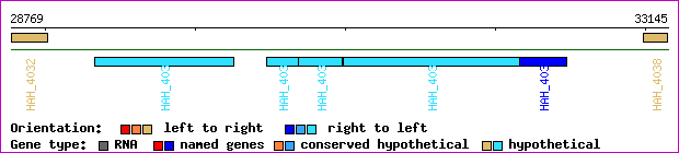gene map