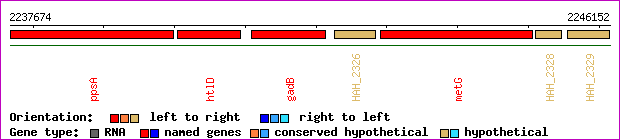 gene map