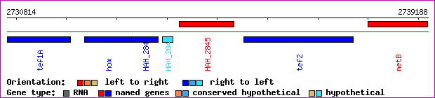 gene map