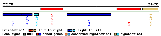 gene map