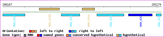 gene map