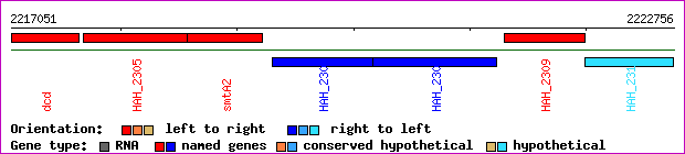 gene map