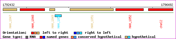 gene map