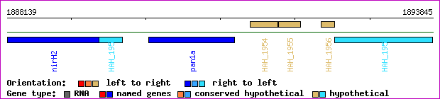 gene map