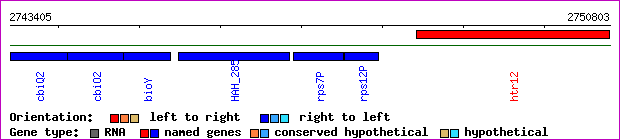 gene map