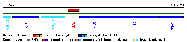 gene map