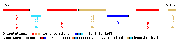 gene map