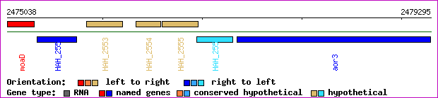 gene map