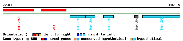 gene map