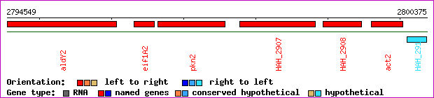 gene map