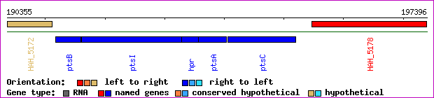 gene map