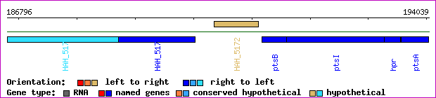 gene map