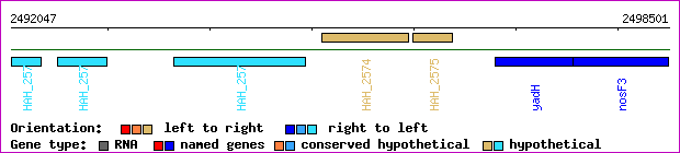 gene map