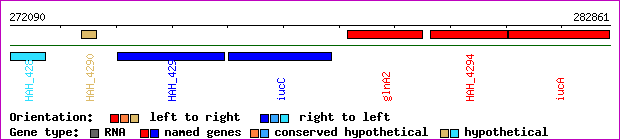 gene map