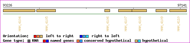 gene map
