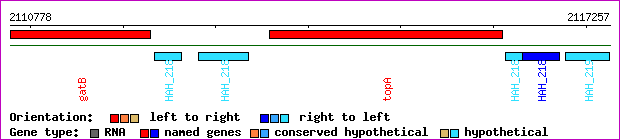 gene map