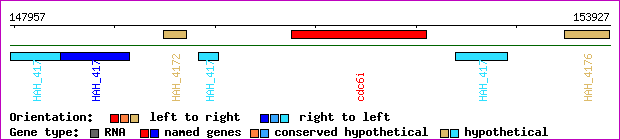 gene map
