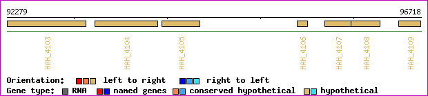 gene map