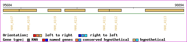gene map