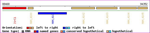 gene map