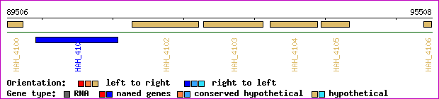 gene map