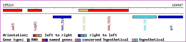 gene map
