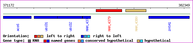 gene map