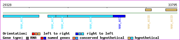 gene map