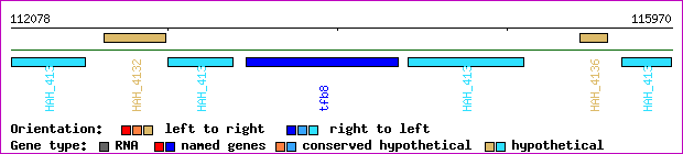 gene map