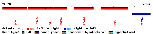 gene map