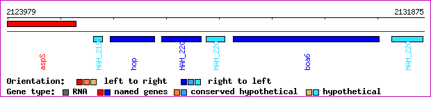 gene map