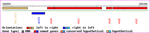 gene map