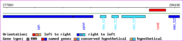 gene map