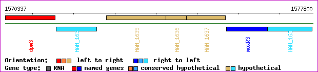 gene map