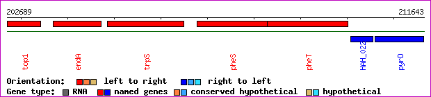 gene map