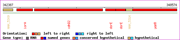 gene map