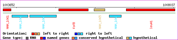 gene map