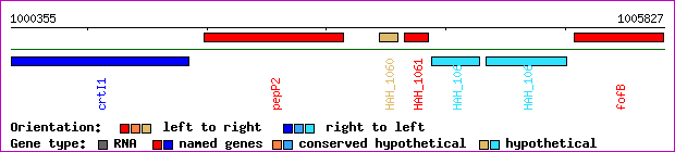gene map