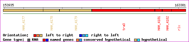 gene map