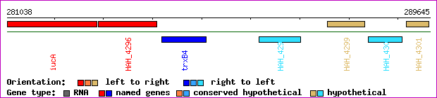 gene map